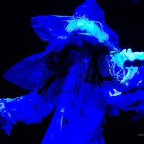 IMG_9991.jpg